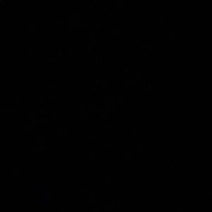 Meet your Posher, Polly